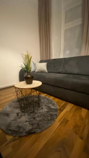 Paower Apartment Vienna
